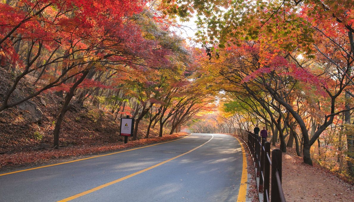 How Local Life Became the Heart of Our New Magazine