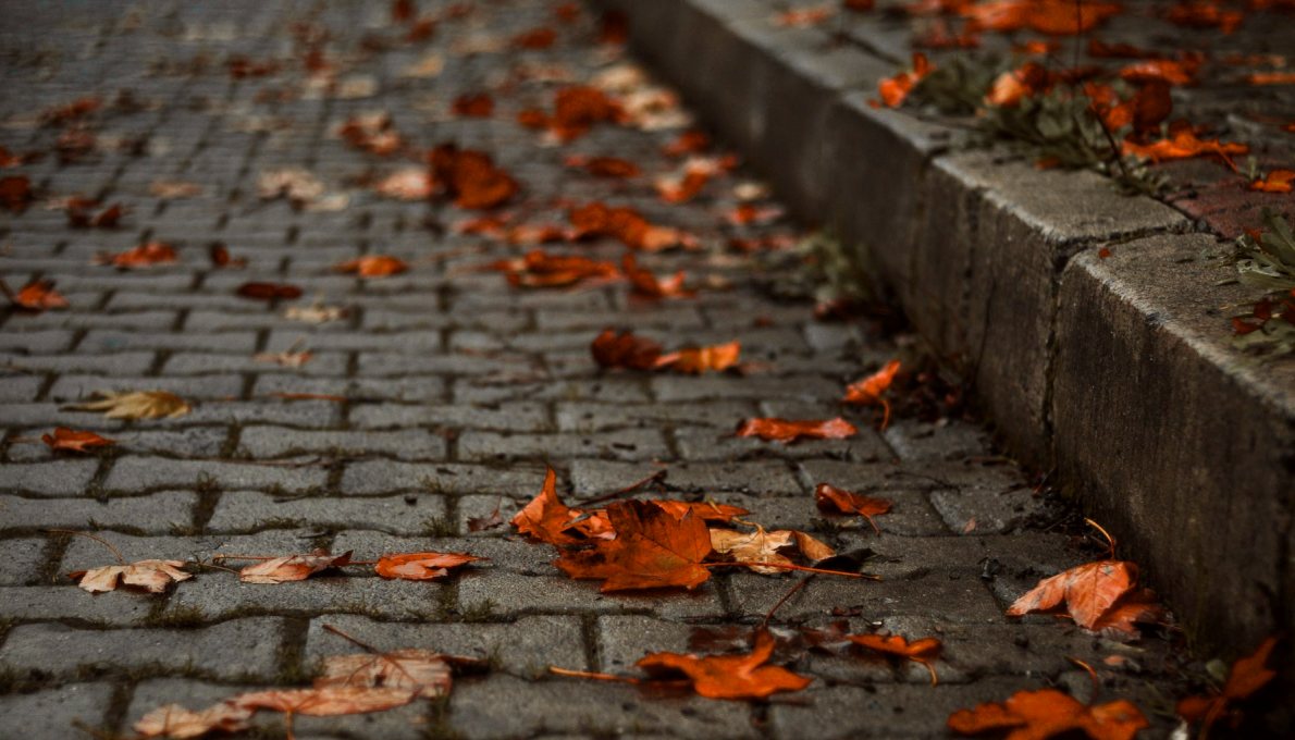 Settling Into Your Neighbourhood for the Colder Months