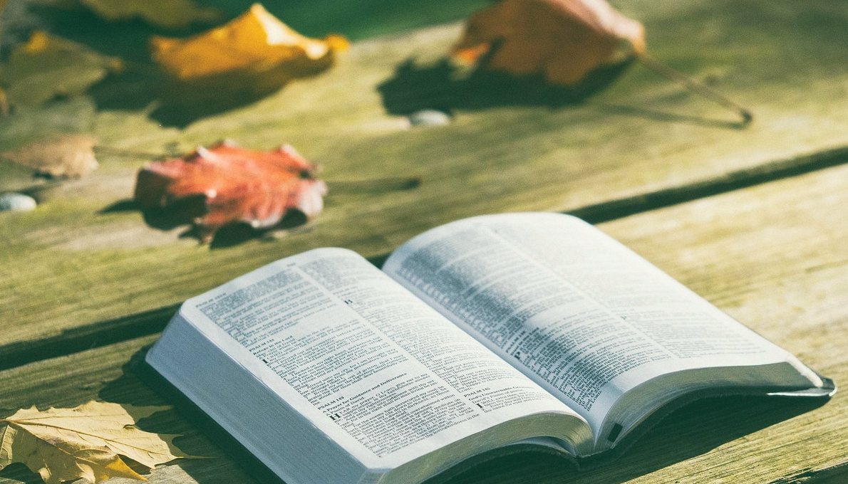 What "Evergreen" Really Means in a Feature Story